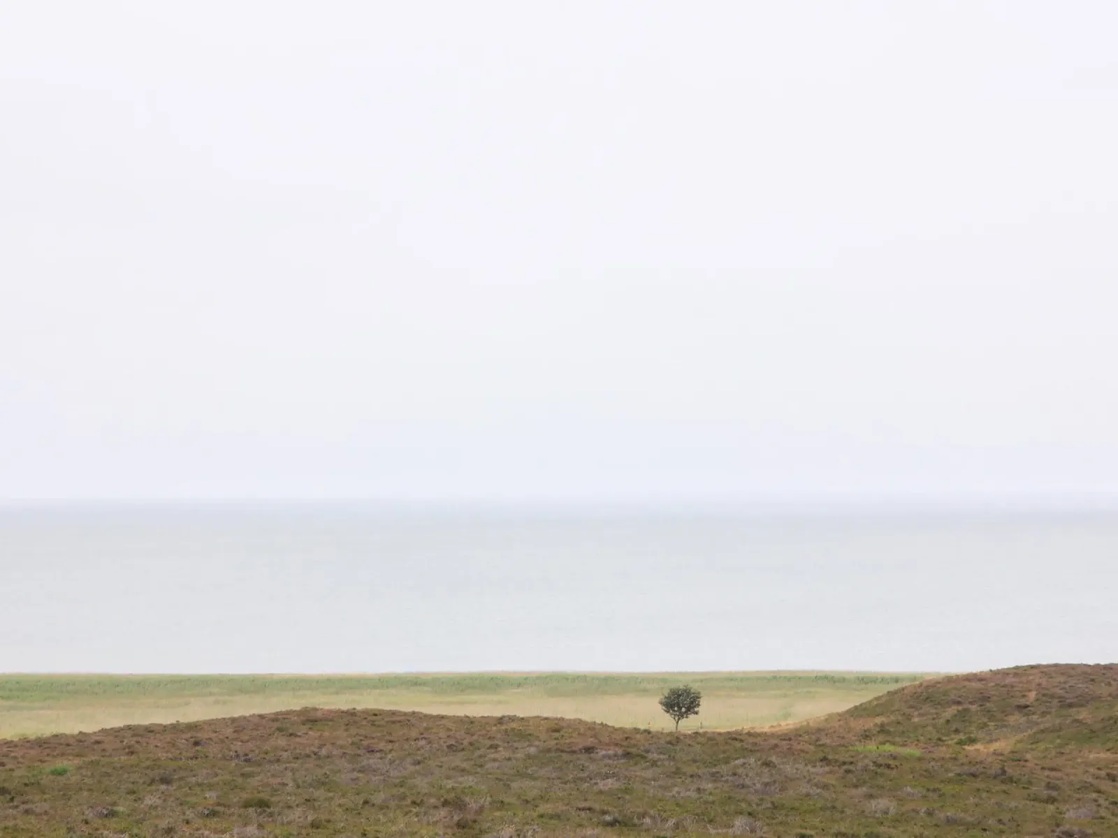 Costa e isola Sylt poster da eyes & tries