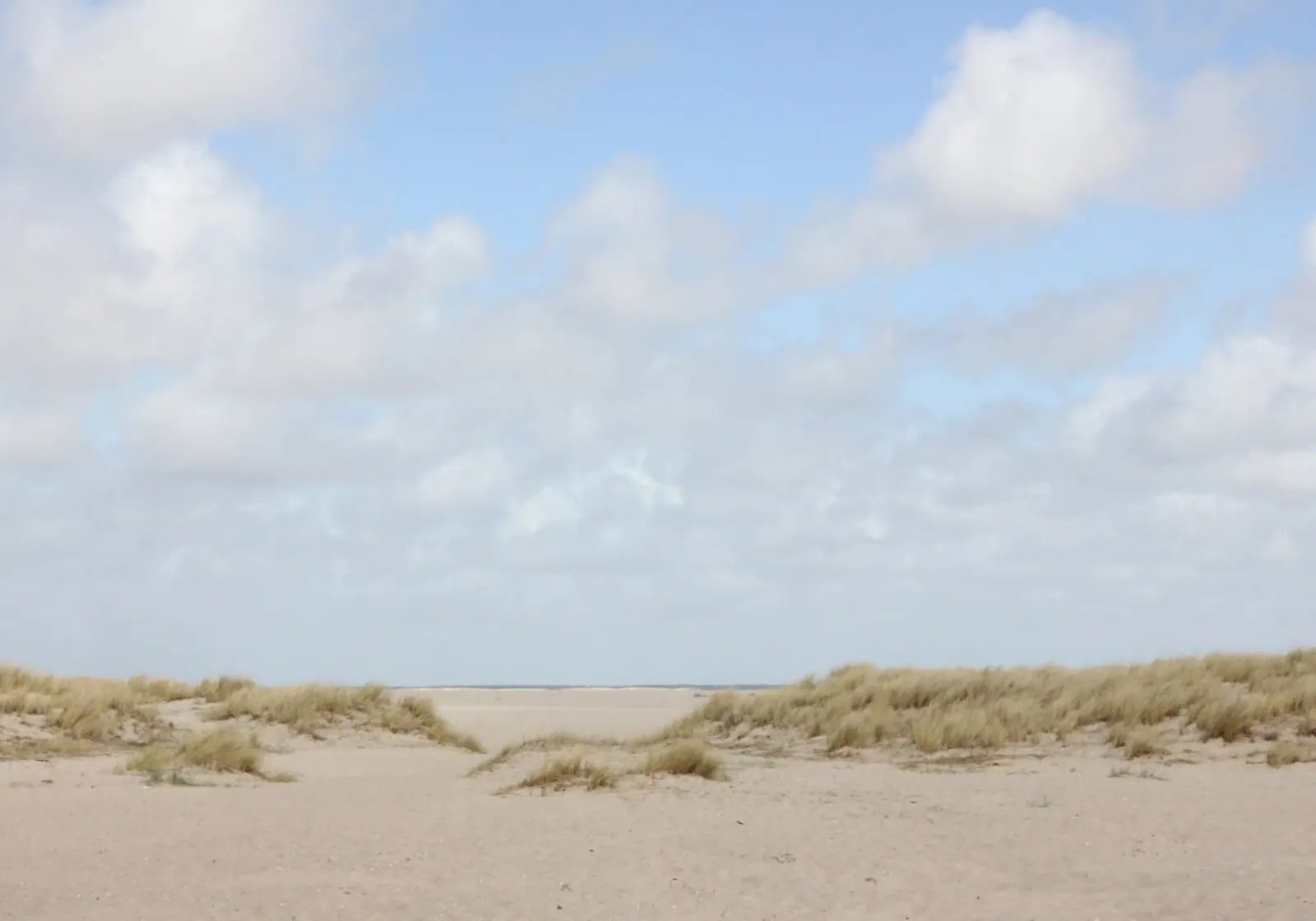 Dune | Isola di Sylt 02 plexiglass da eyes & tries