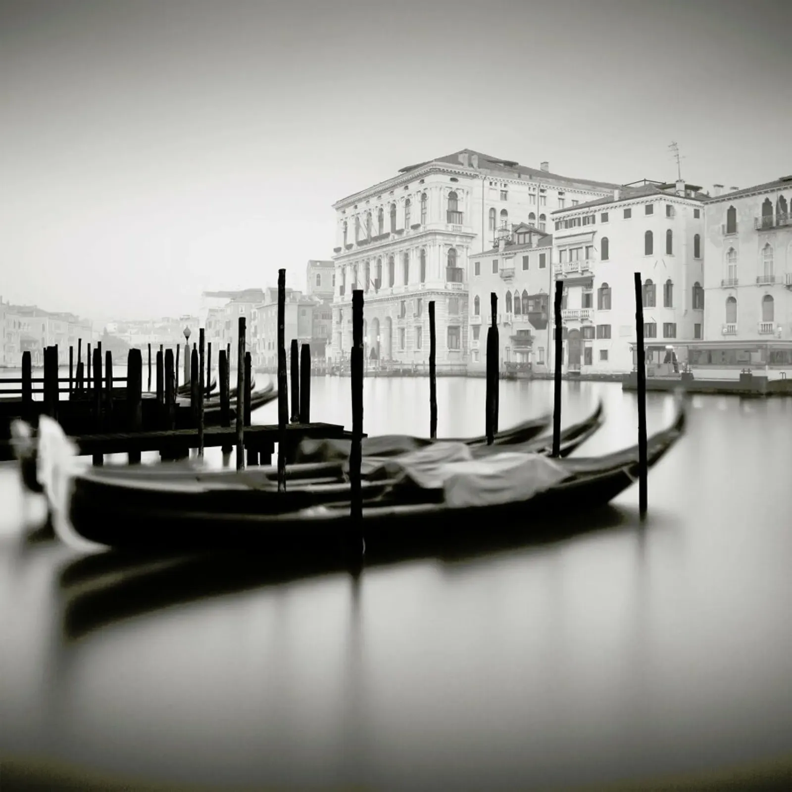 Canal Grande - Study 9 pellicola backlit da Håggard Photography | Ronny Behnert