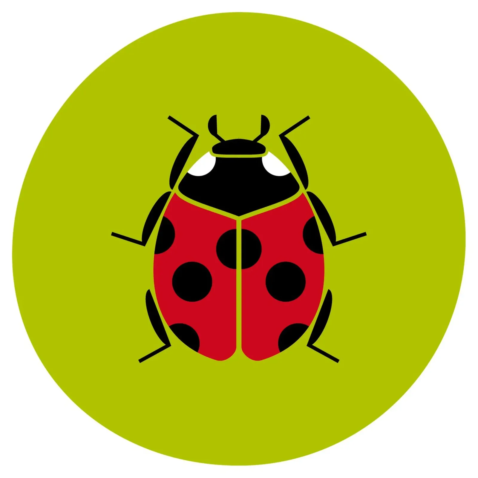 Coccinella carta hahnemühle da Looks n Brains