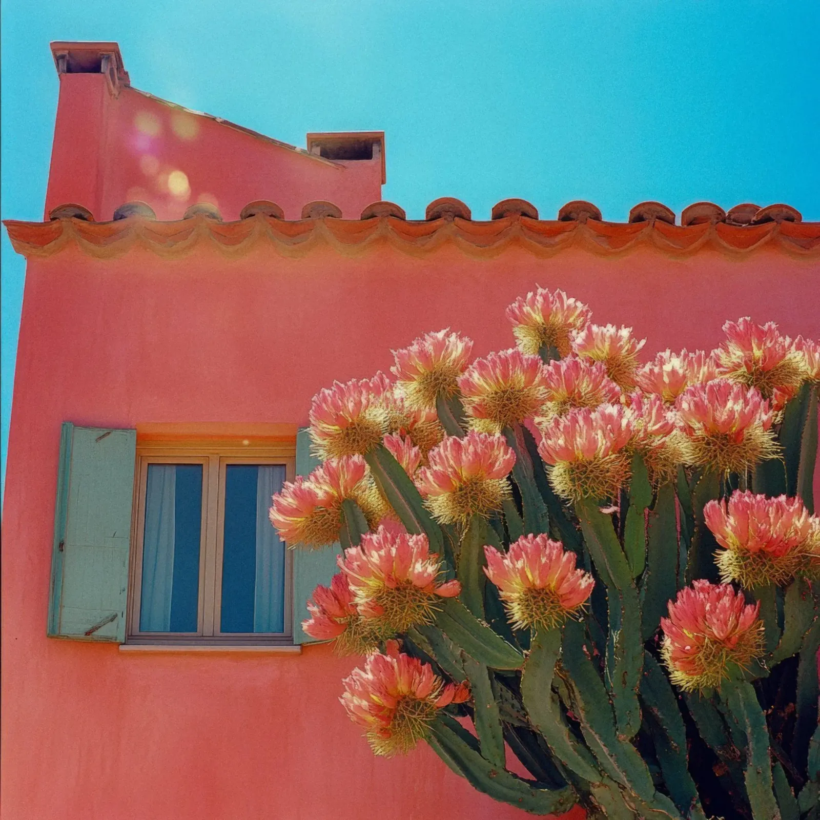 54 pellicola backlit da Pink California | Affiches & Posters