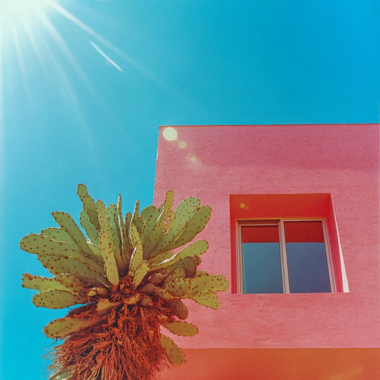 67 pellicola backlit da Pink California | Affiches & Posters