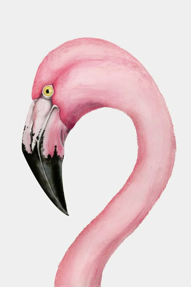 Flamingo plexiglass da typealive