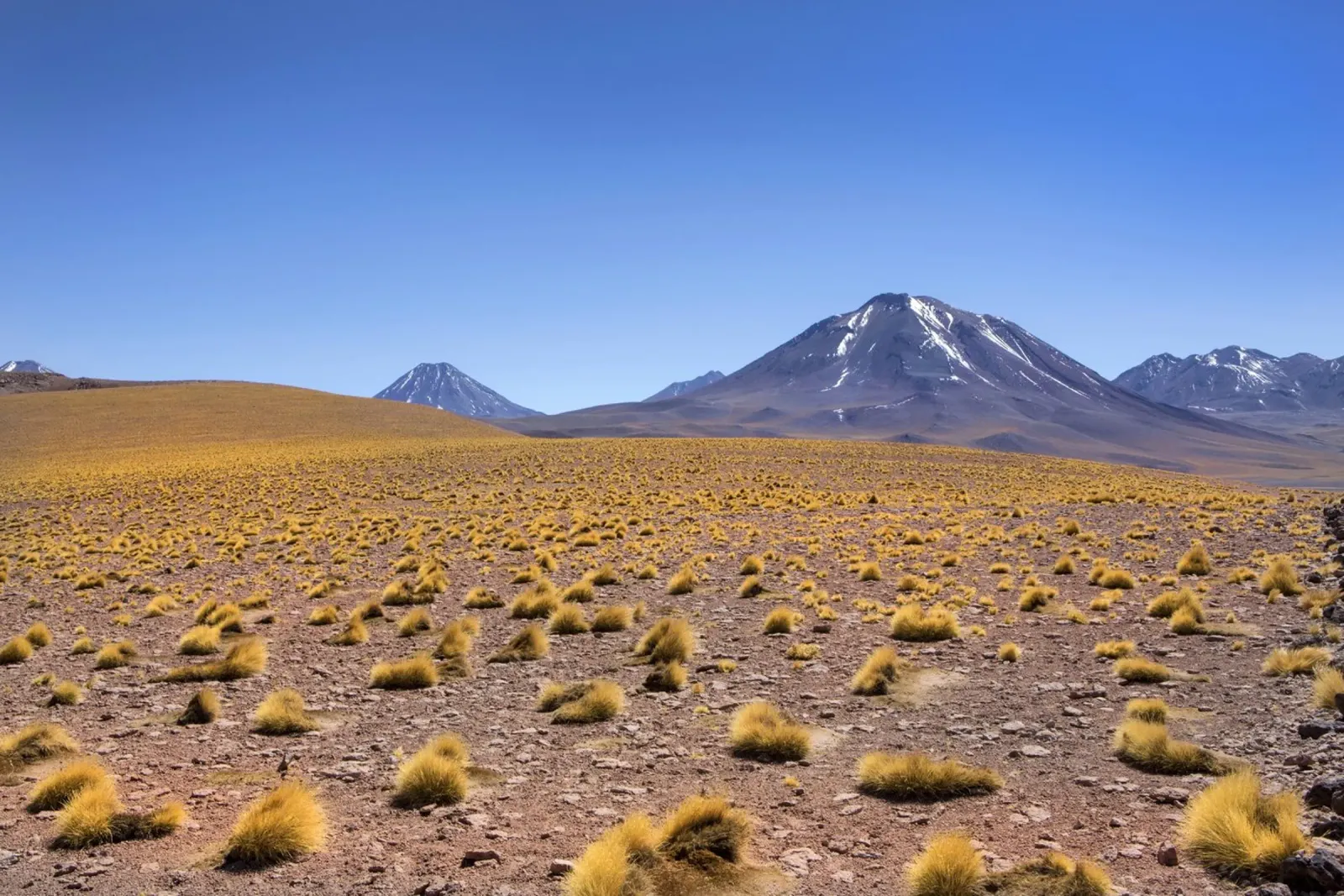 Paesaggio di Atacama pellicola backlit da Dave Hare Photography