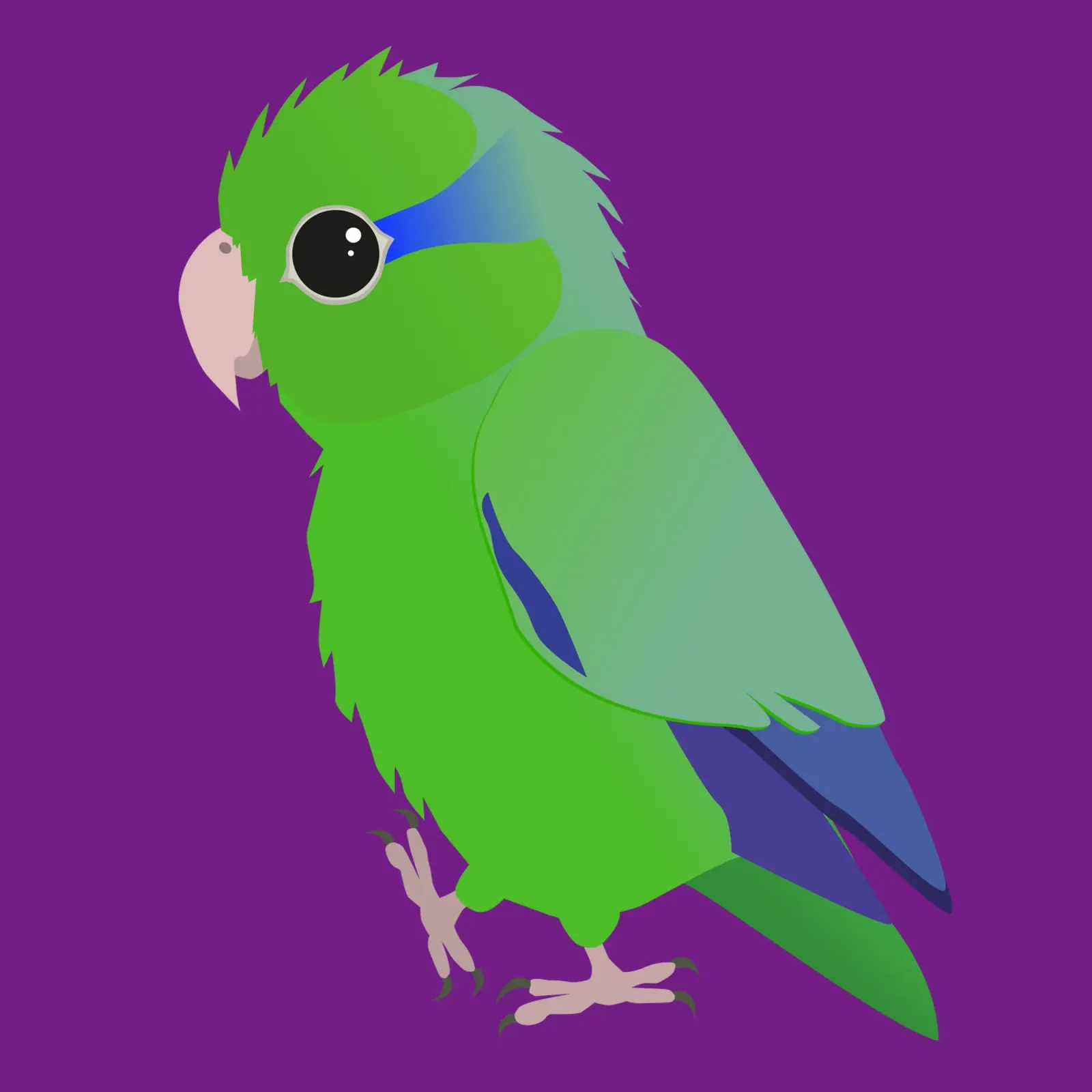 Carino il pappagallino verde del Pacifico alluminio dibond da BwiseLizzy