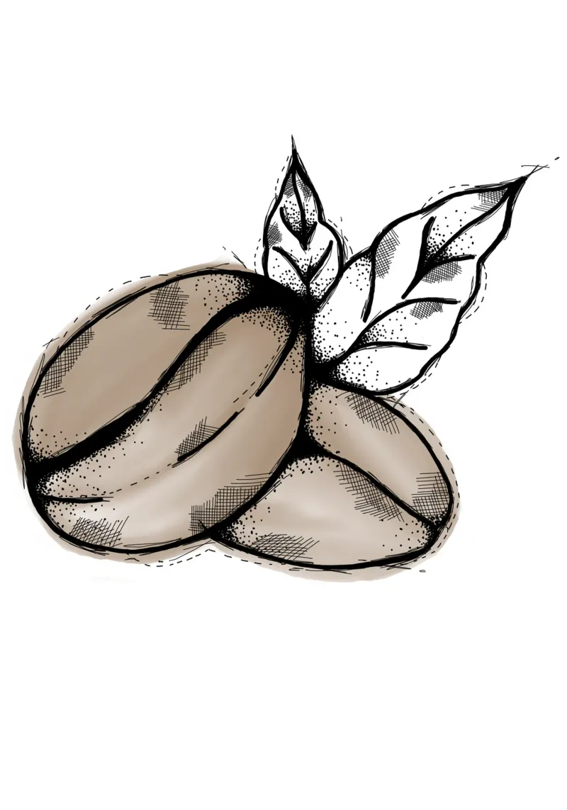 Coffeebeans | Lineart pellicola backlit da venten