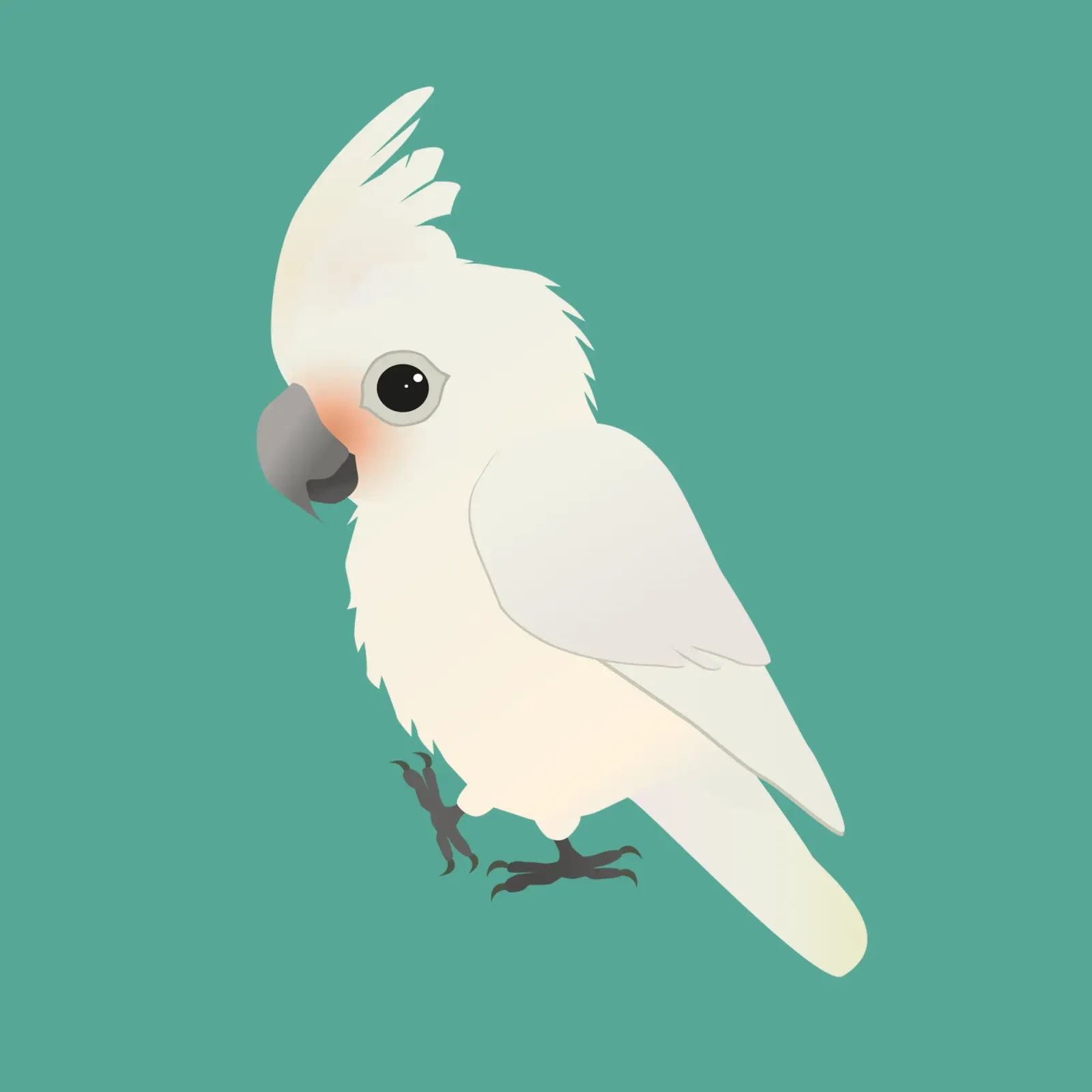 Illustrazione del simpatico cacatua di Goffin pellicola backlit da BwiseLizzy
