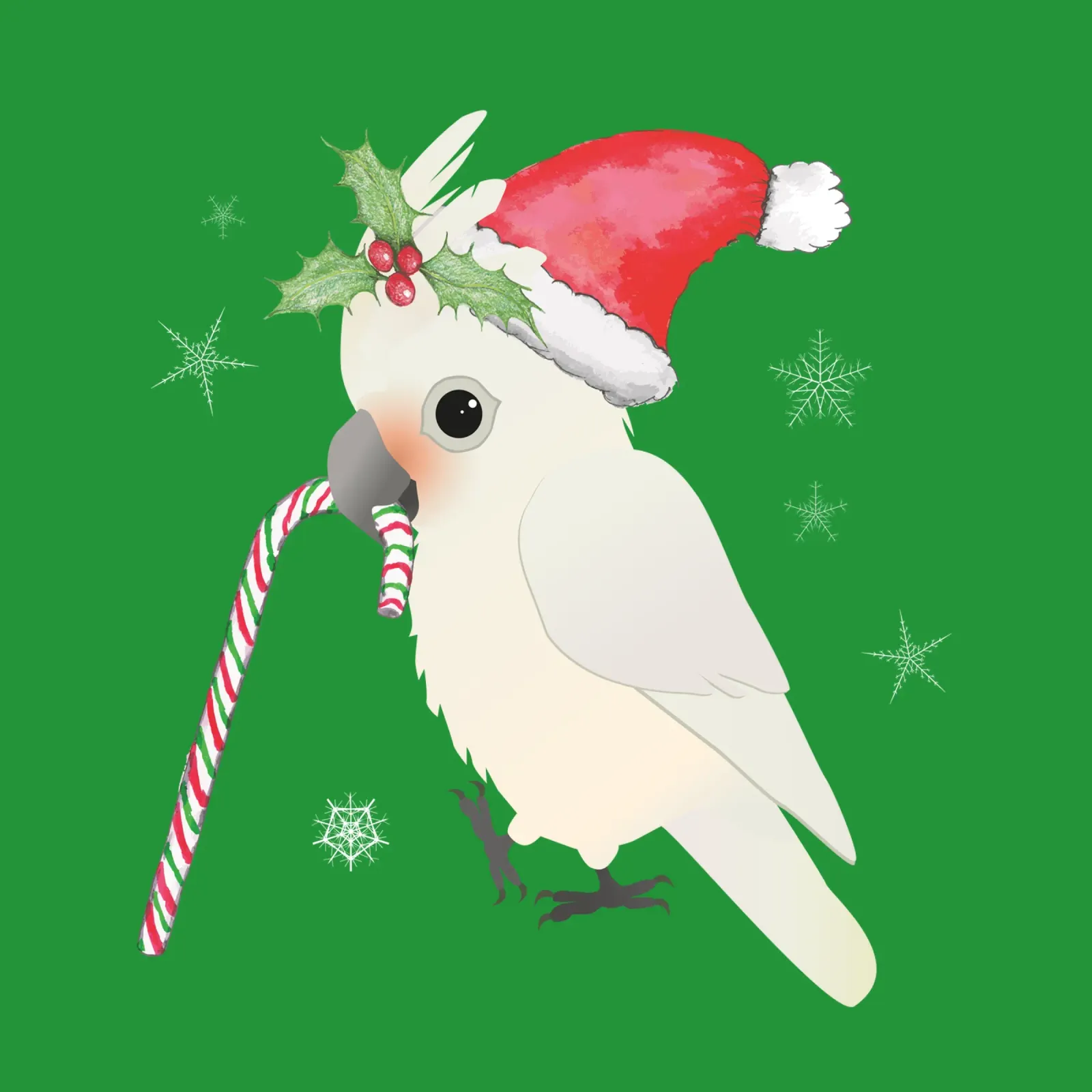 Un simpatico cacatua di Natale carta hahnemühle da BwiseLizzy