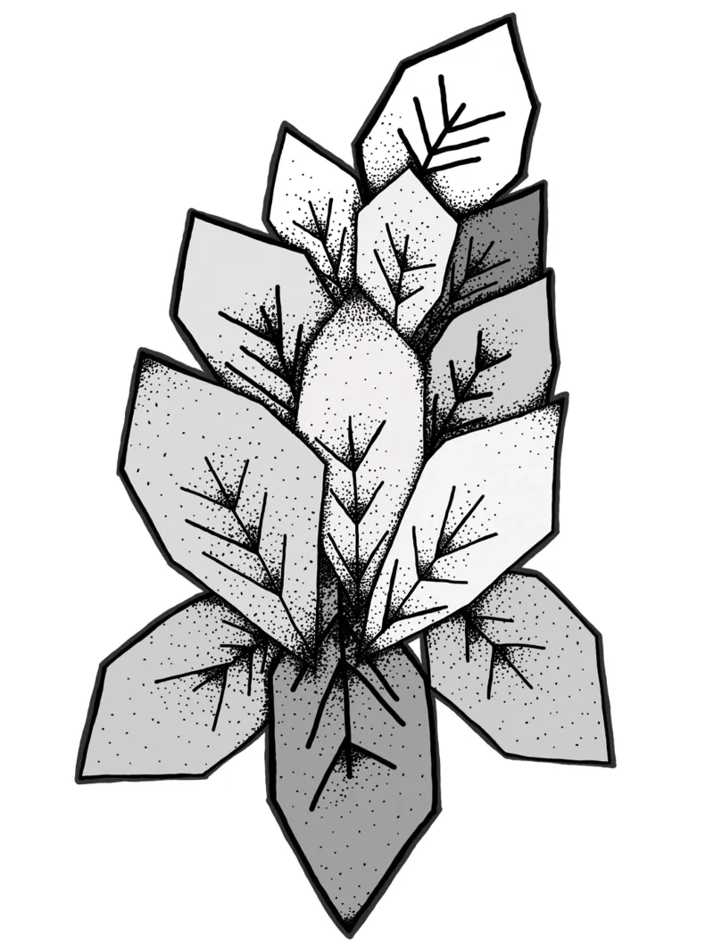 Lineart | geometric leaves backlit film by venten