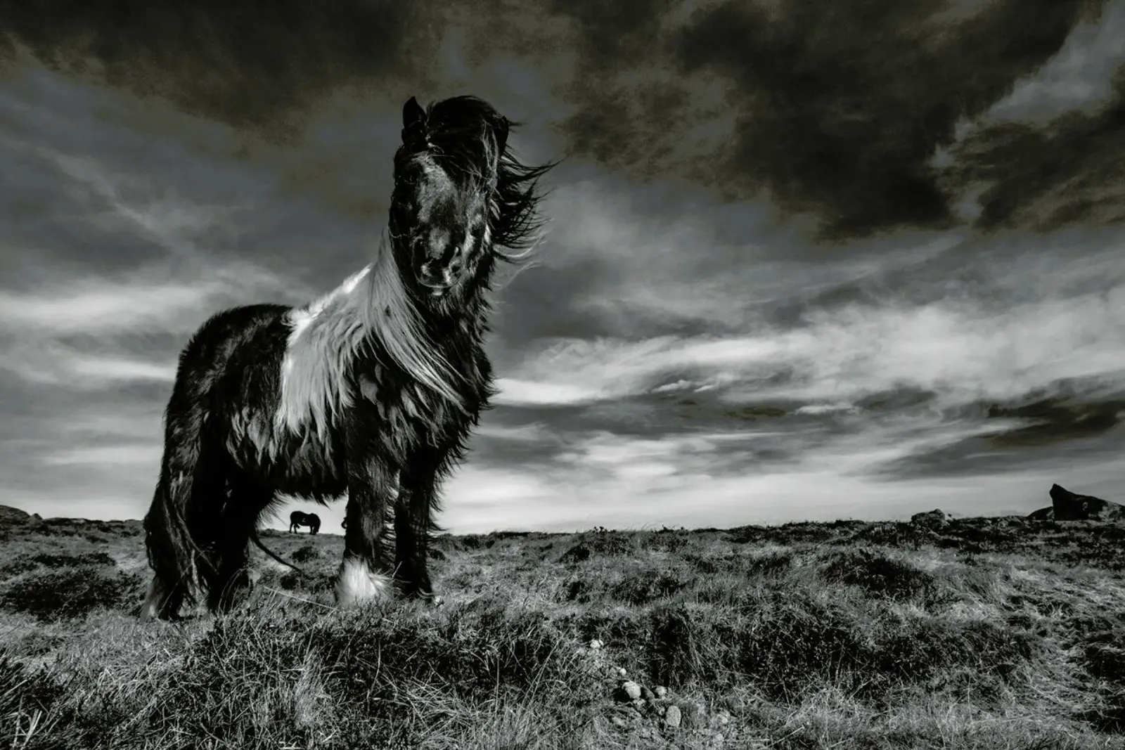 Two of a kind - Bragi Ingibergsson - BRIN poster da Pictufy