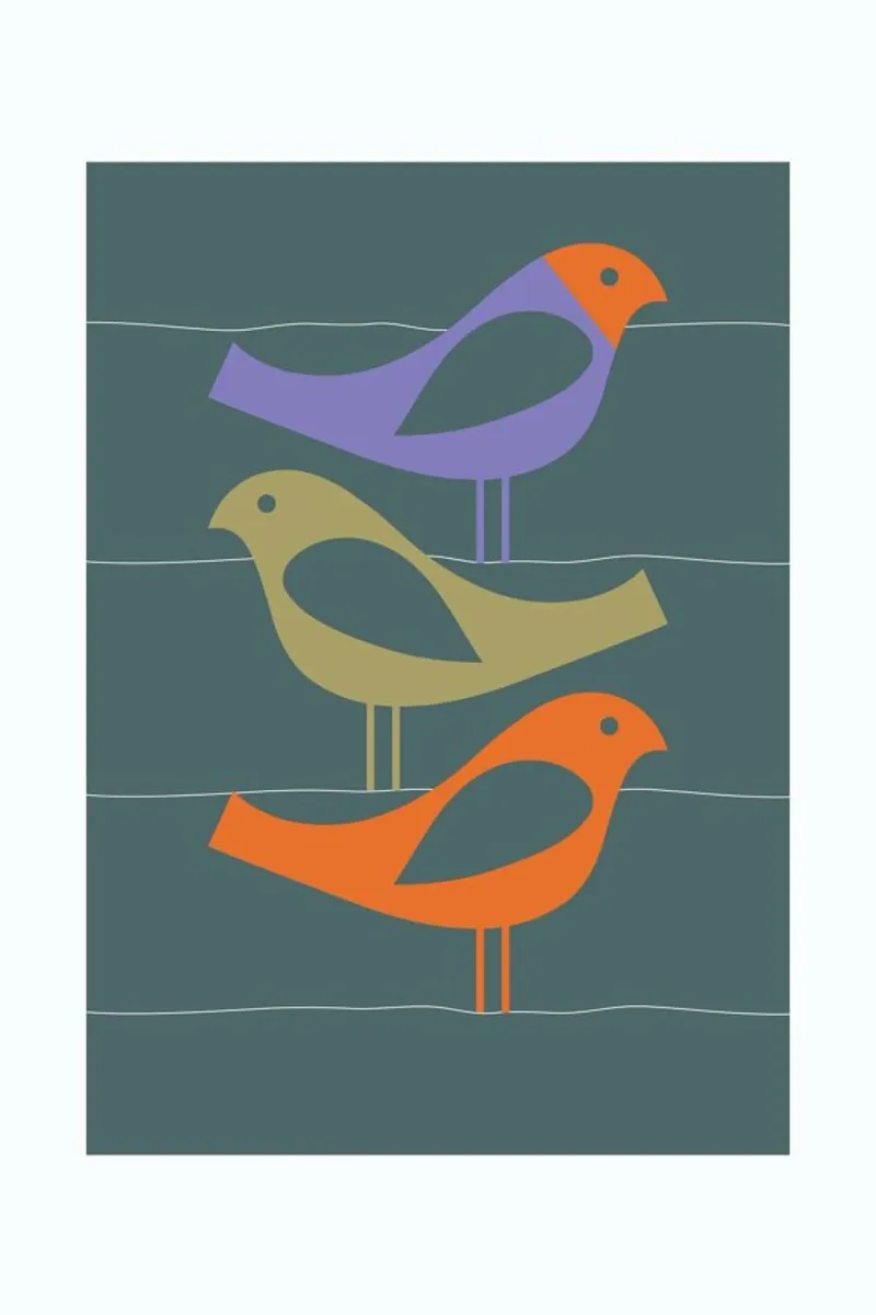 Three Scandi Birds 2 pellicola backlit da Visual Philosophy