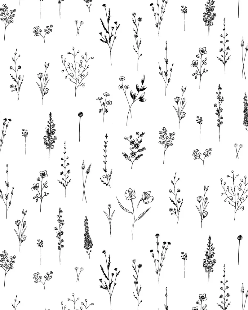 White Wildflowers Floral Pattern tela con Cornice a cassetta da anisillustration