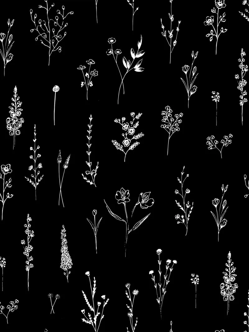 Black Wildflowers Minimalist Line Art Pattern pellicola backlit da anisillustration