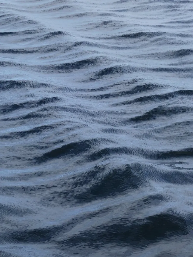 Ocean Shivers 1 hahnemühle de menega sabidussi | moods