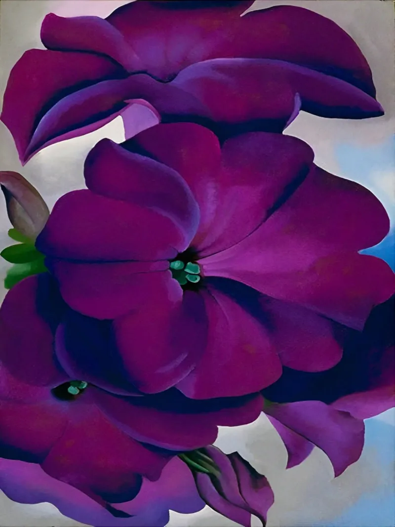 Georgia O'Keeffe - petunia, 1925 alu-dibond by Kinsley