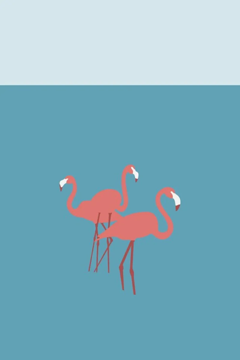 Flamingo carta hahnemühle da Swen Swensøn