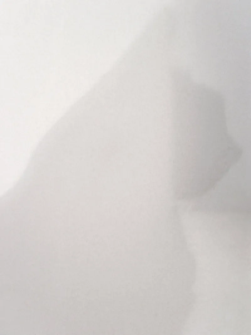 Shadow Cat poster con telaio in alluminio da menega sabidussi | moods