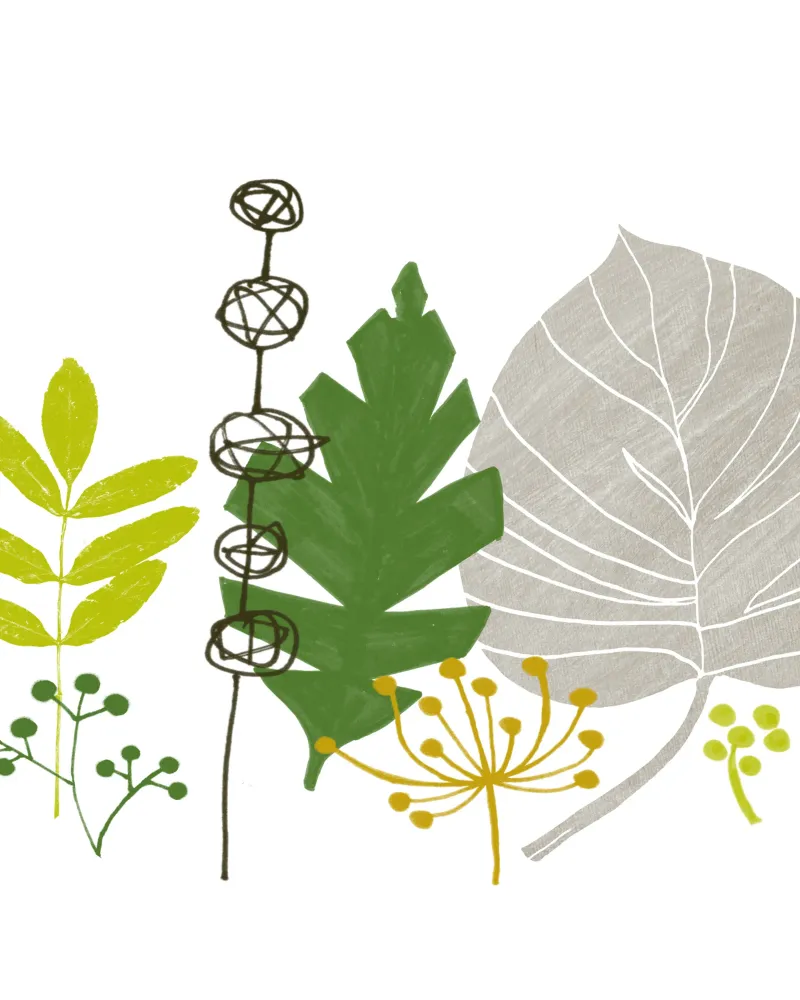 Turn A New Leaf pellicola backlit da Catherine Aguilar