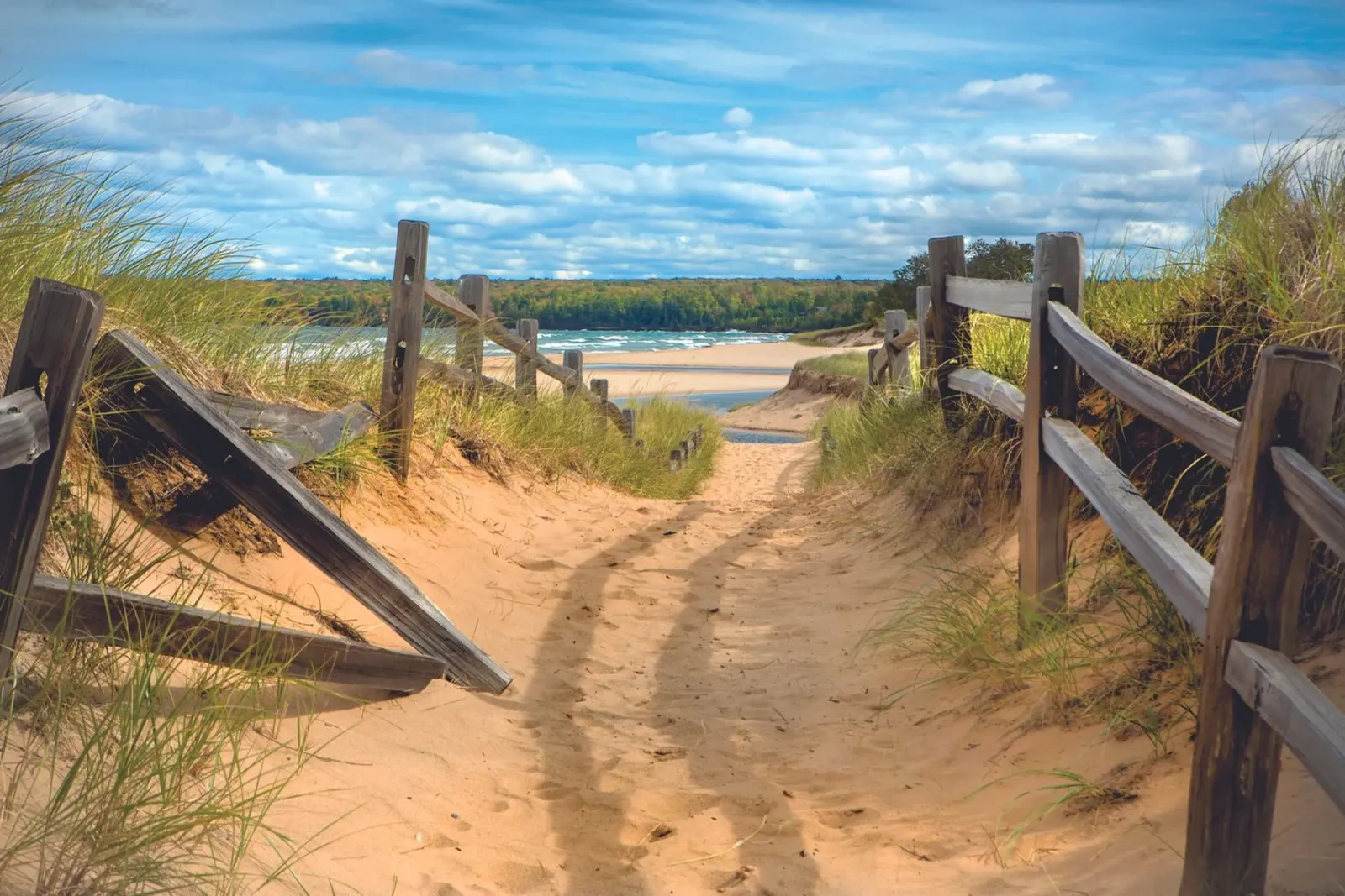 Beach Path carta hahnemühle da Dave Hare Photography