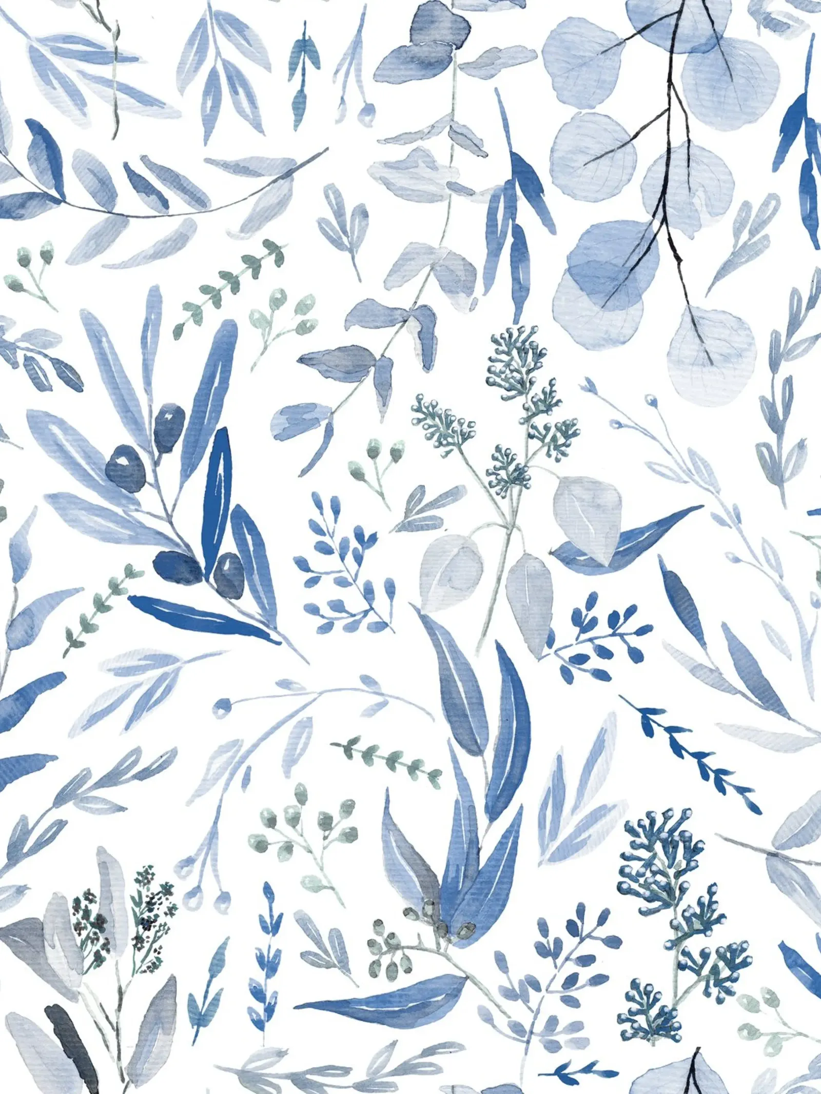 Blue Eucalyptus Pattern pellicola backlit da anisillustration