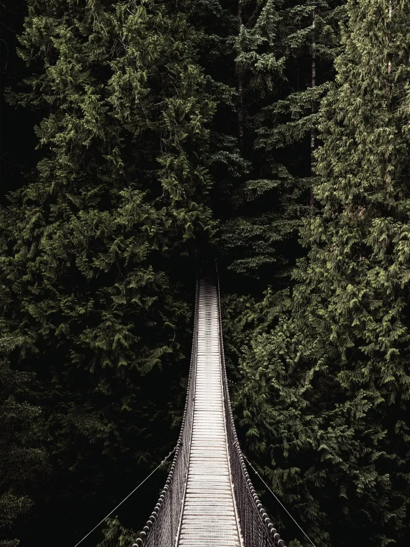 Adventurous suspension bridge in the forest - nature-loving design canvas by Whole©