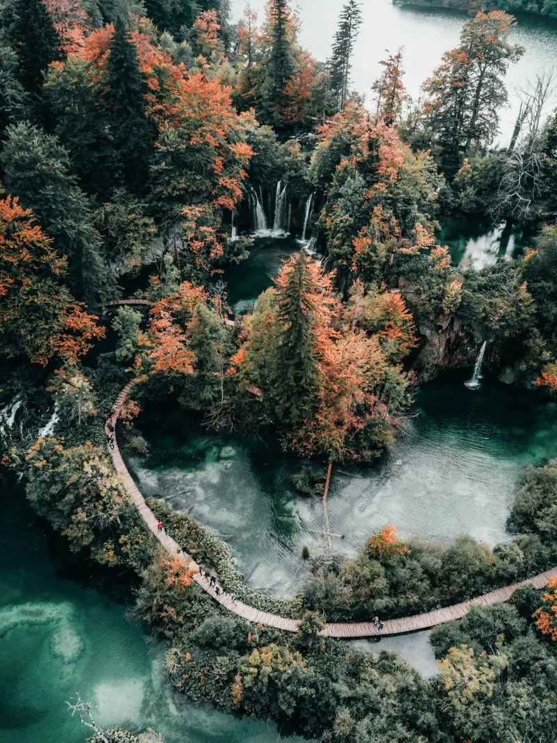 Autumn forest with waterfall - natural wonder canvas with Floater frame by Whole©