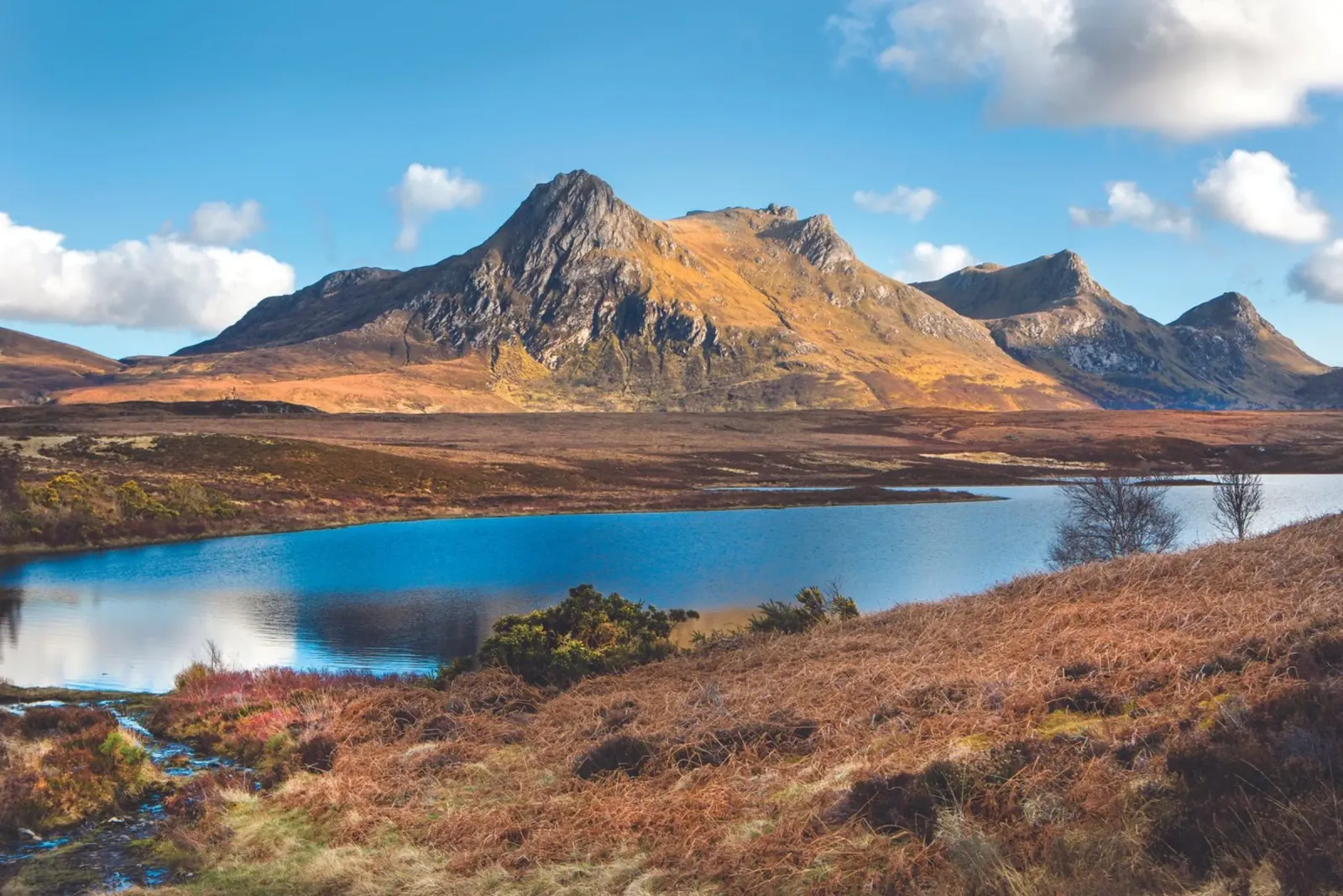 Ben Loyal pellicola backlit da Dave Hare Photography