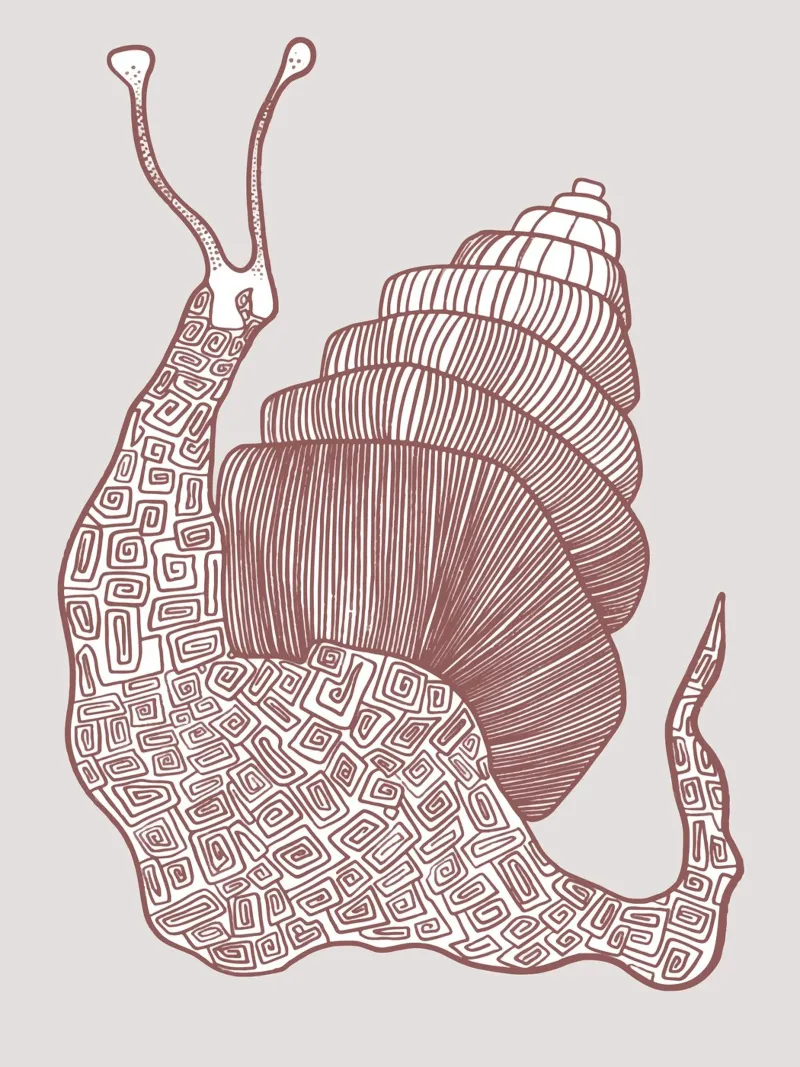 Snail alluminio dibond da Artsy Bessy
