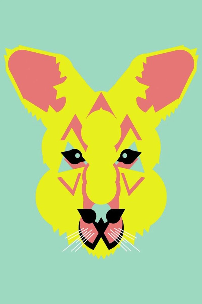 Skippy The Bush Kangaroo Poster von Gareth Pollock Design
