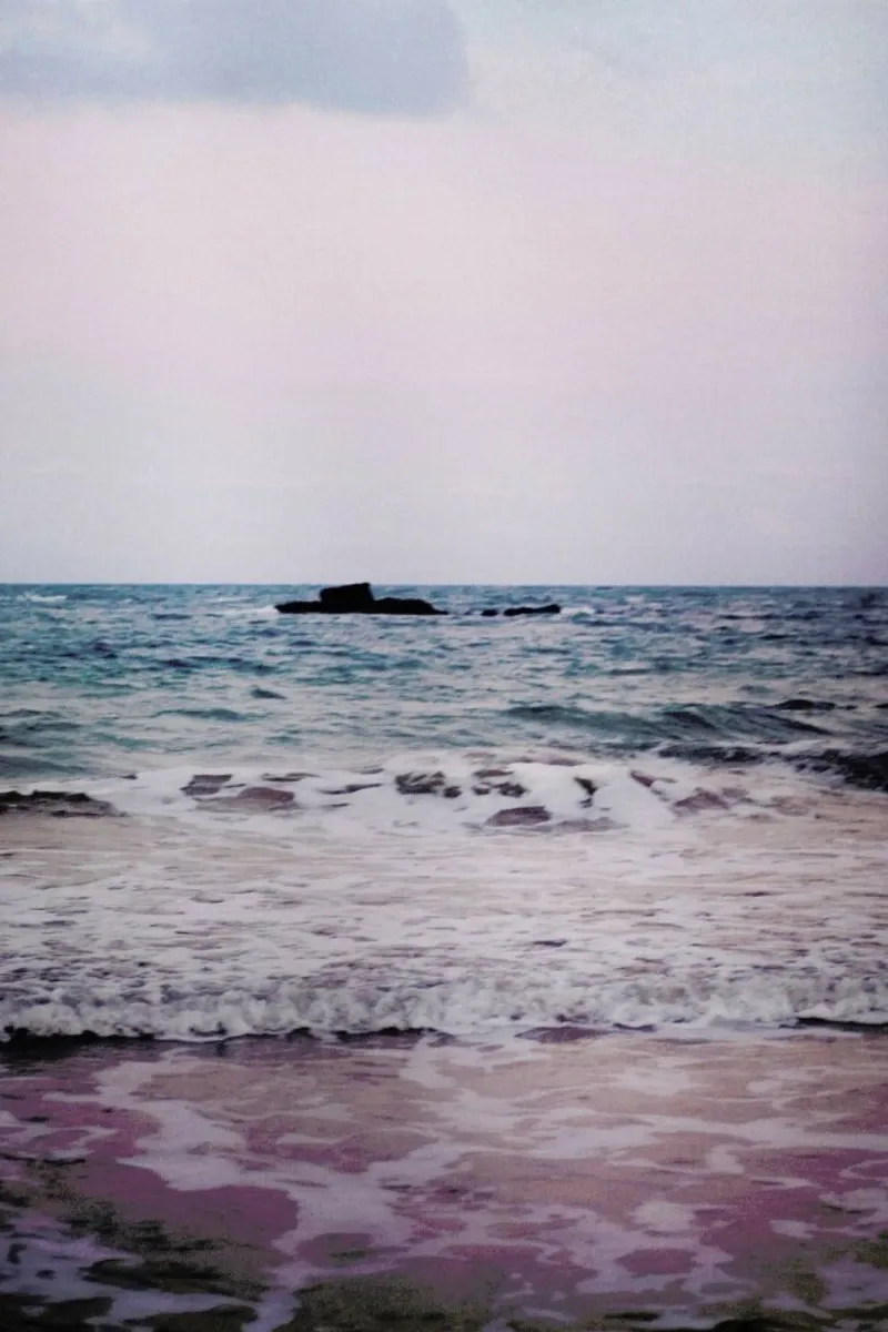 The Secret Sea II hahnemühle by Dani L.