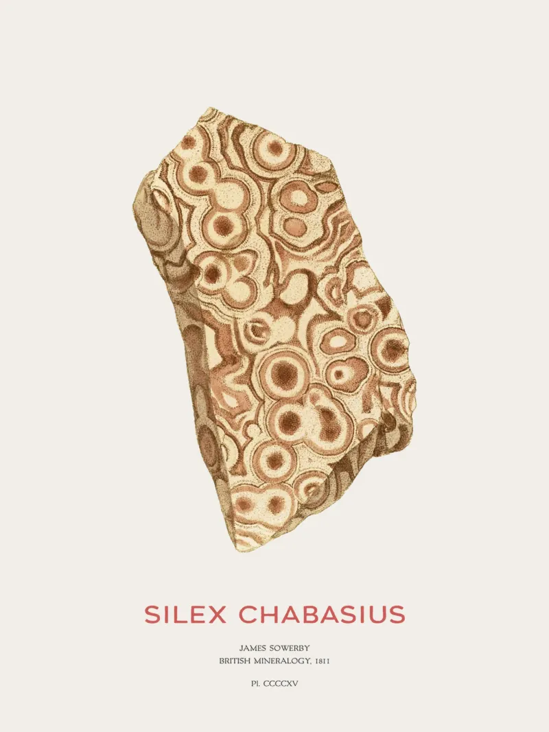 Chabasit oder Silex Chabasius Hahnemühle von Vintagrafica