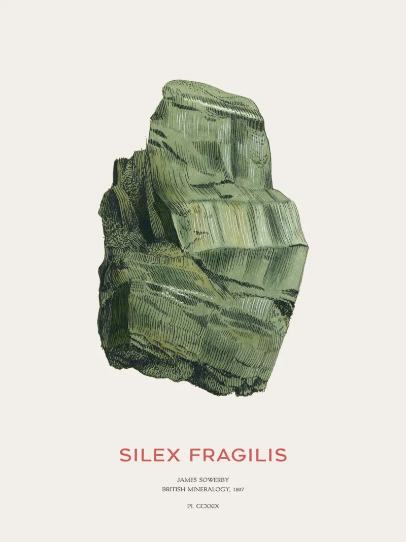 Aktinolith oder Silex Fragilis Hahnemühle von Vintagrafica
