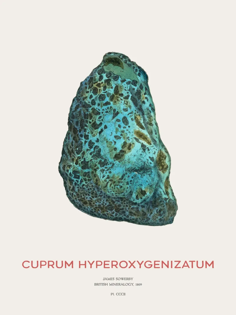 Kupfererz oder Cuprum Hyperoxygenizatum Hahnemühle von Vintagrafica