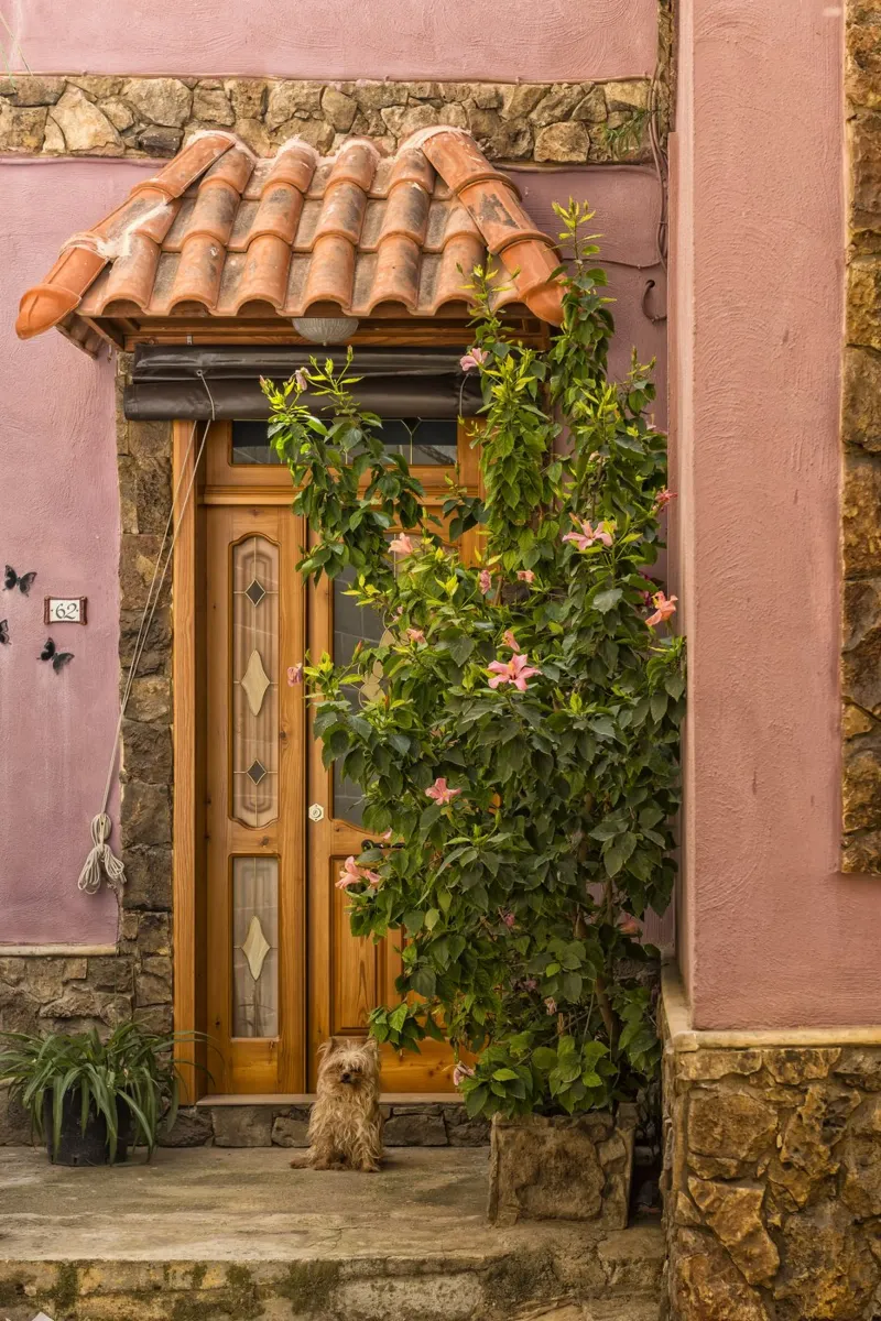 Incantevole portico con magnolie rosa tela con Cornice a cassetta da Curious Collections by Marielle Leenders