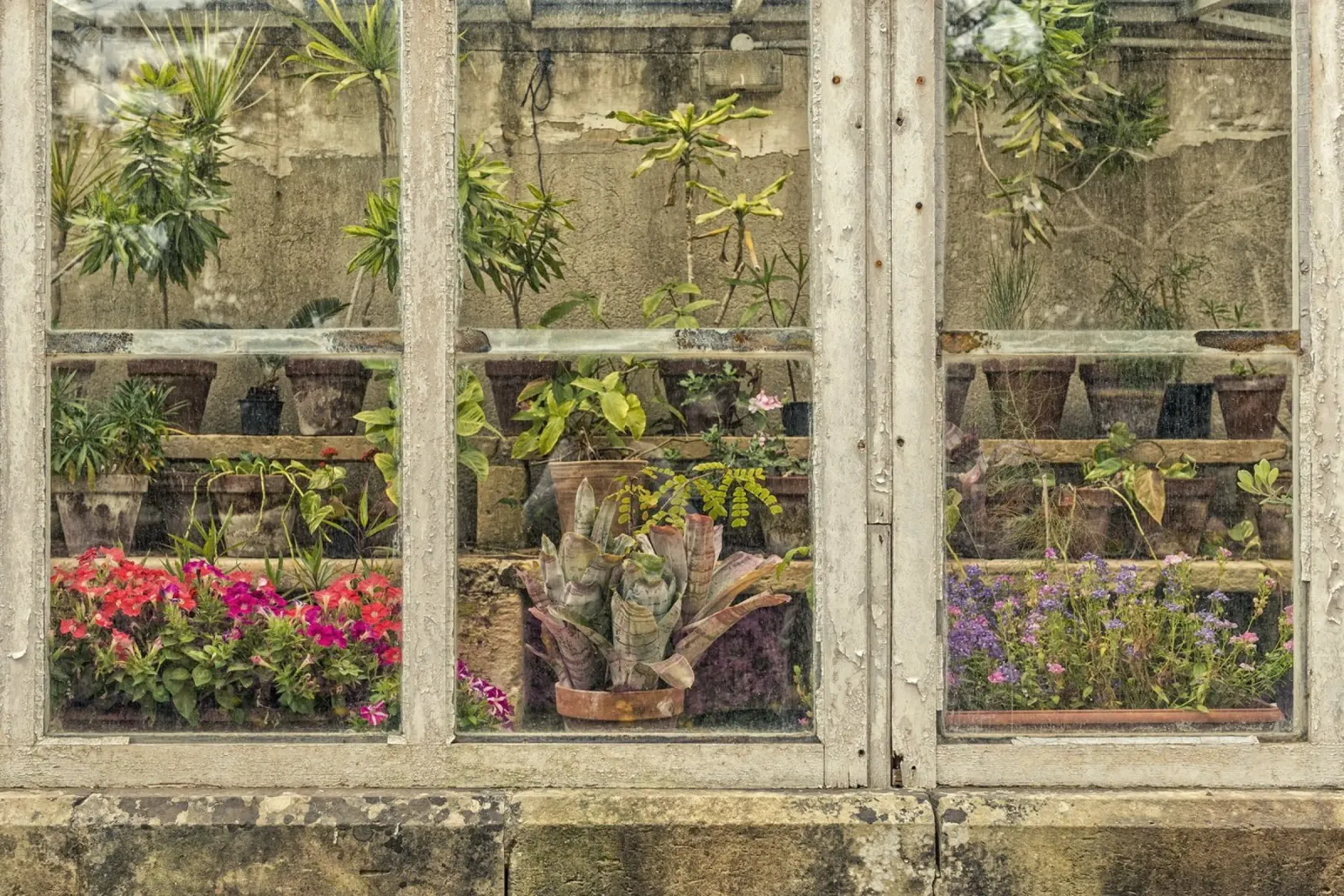 Detail vintage tuinhuis backlit folie van Curious Collections by Marielle Leenders