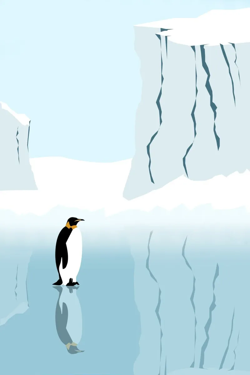Penguin in the Antarktis pellicola backlit da minimalist designs
