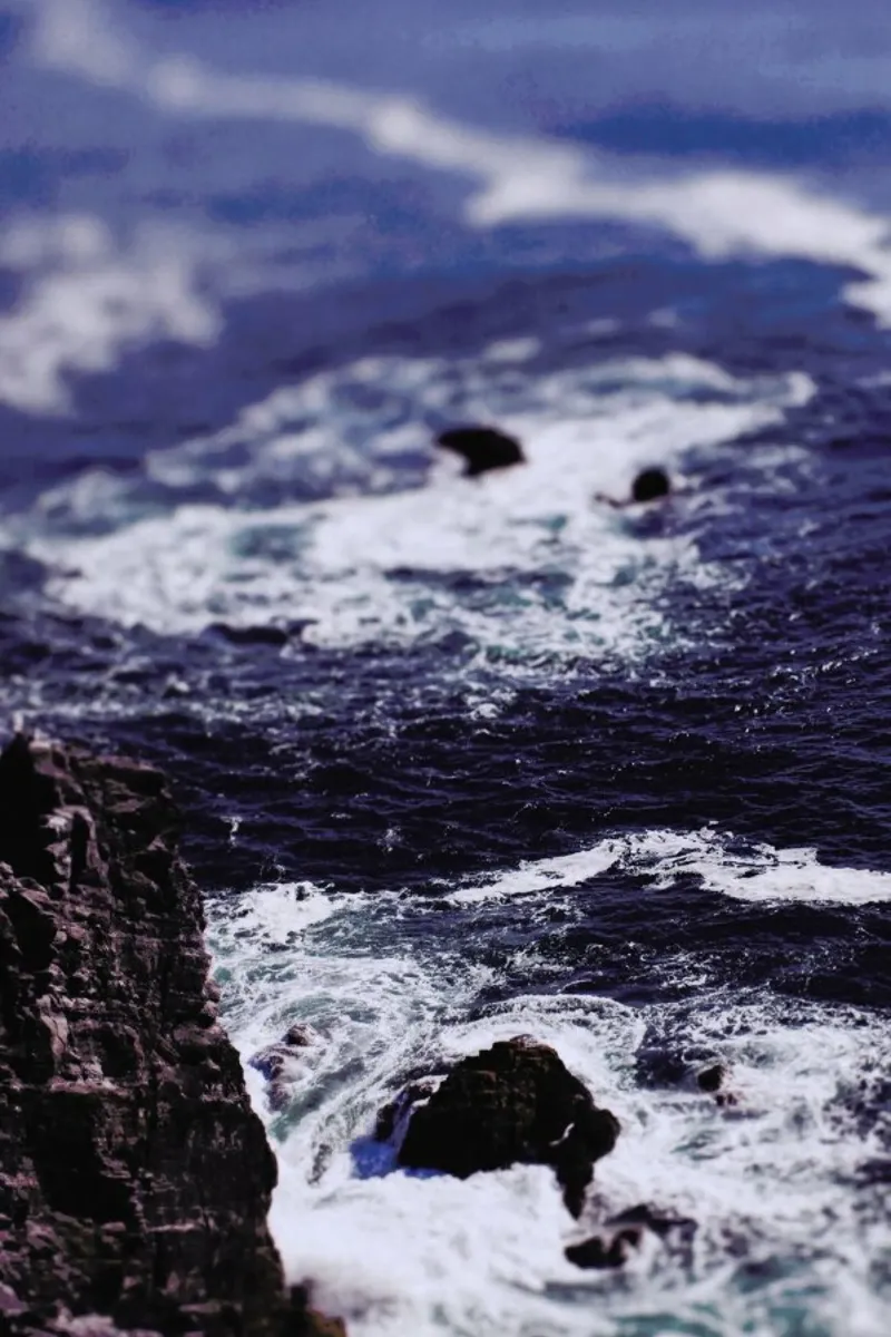 Blue Ocean pellicola backlit da Leah Flores