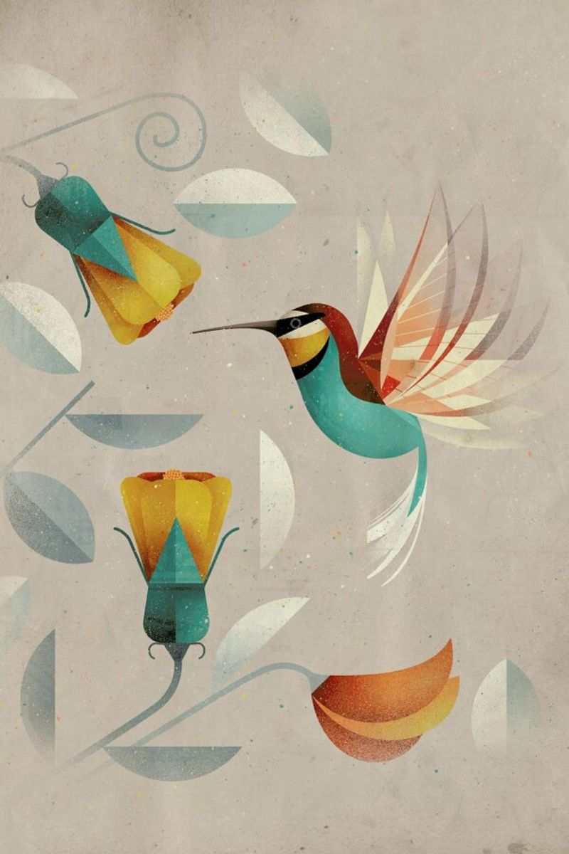 Kolibri poster by Dieter Braun