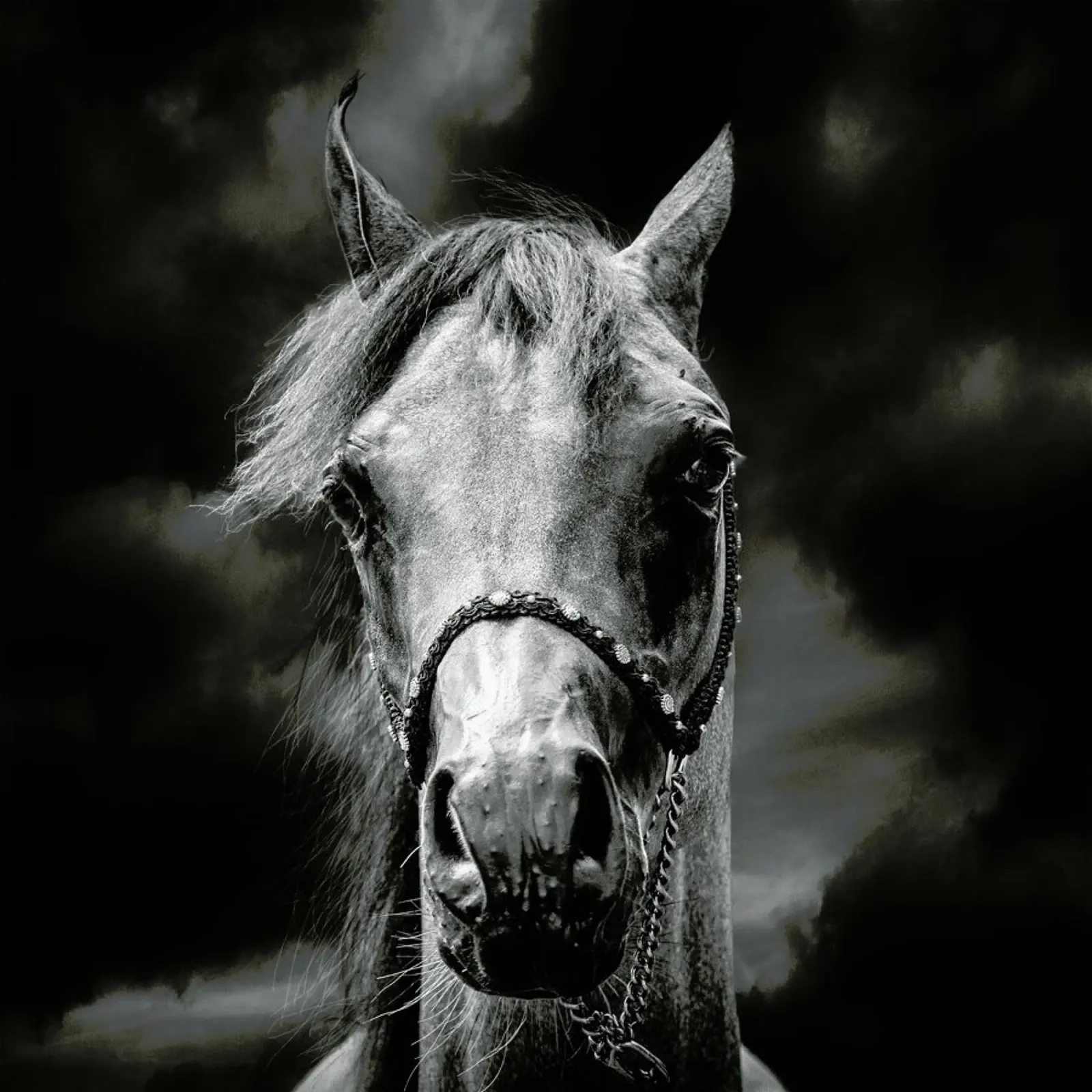 Head In The Clouds - Piet Flour metacrilato de Pictufy