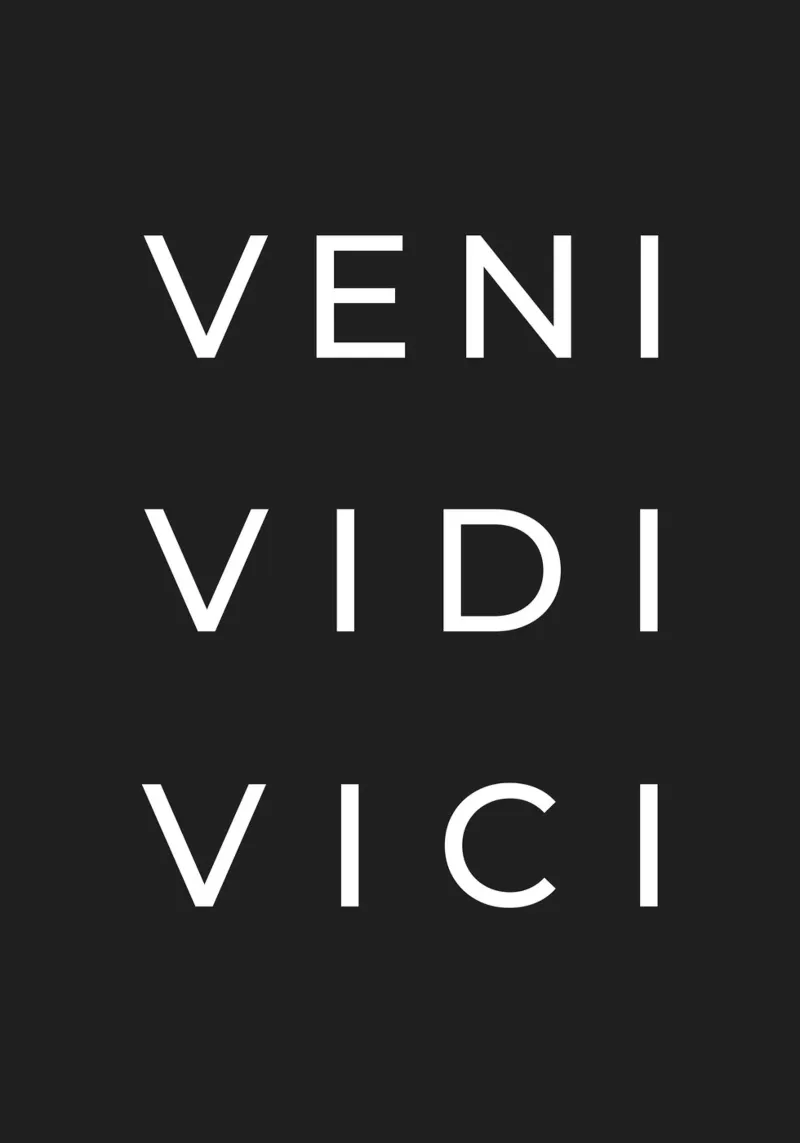 Veni Vidi Vici poster con telaio in plastica da Paigaam Studio