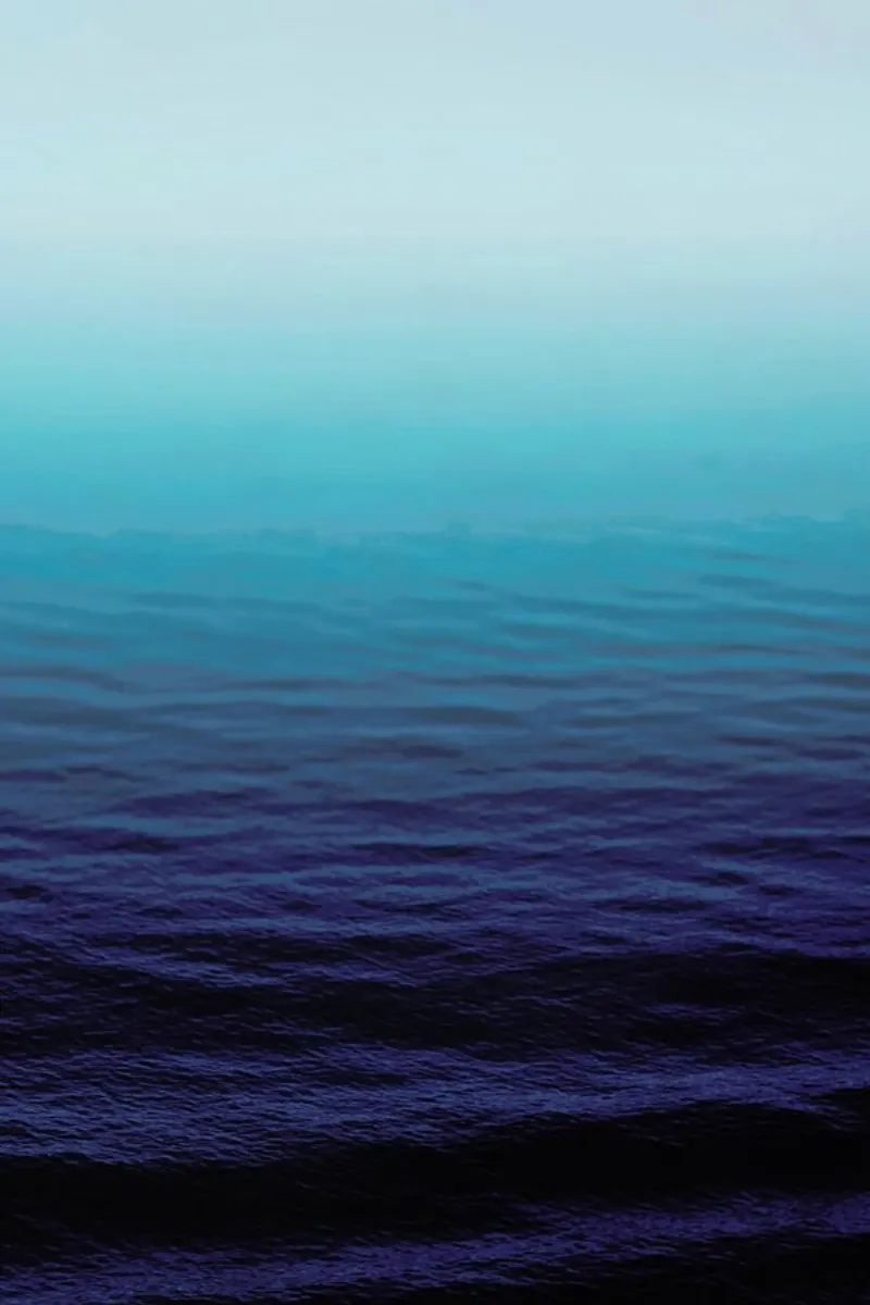 Deep Blue pellicola backlit da Leah Flores