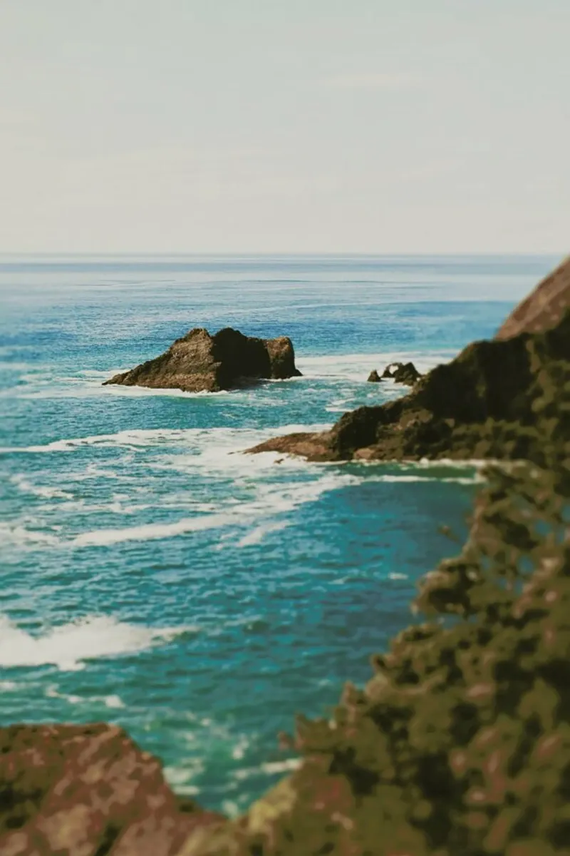 Oregon Coast pellicola backlit da Leah Flores