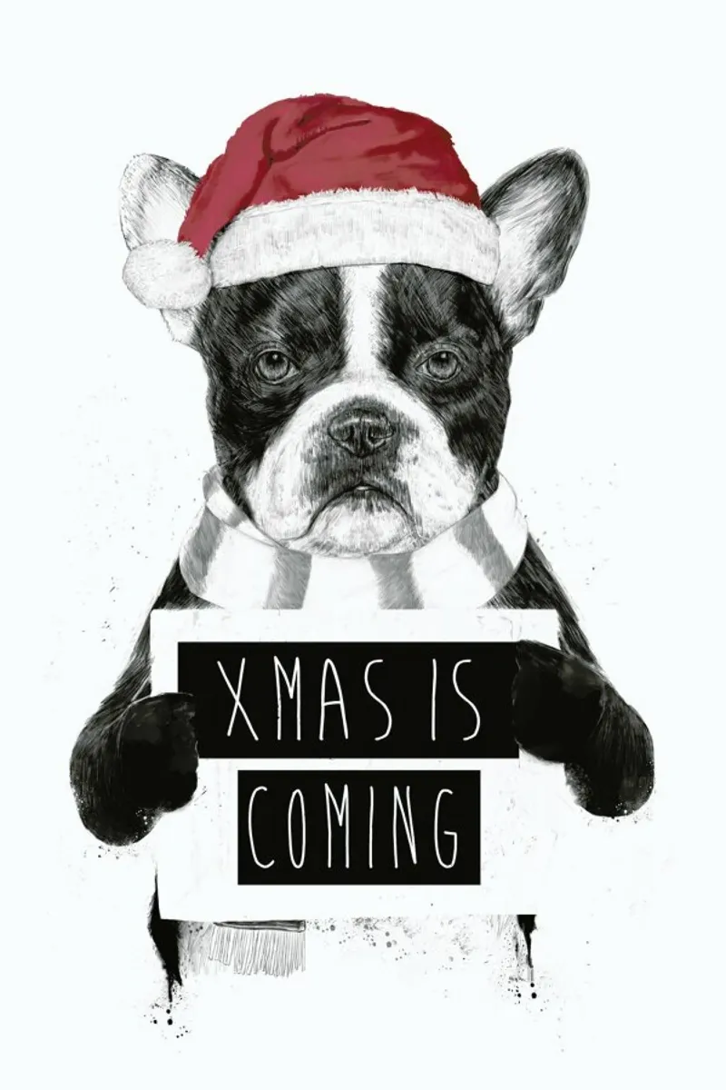 Xmas Dog poster con marco de plástico de Balazs Solti