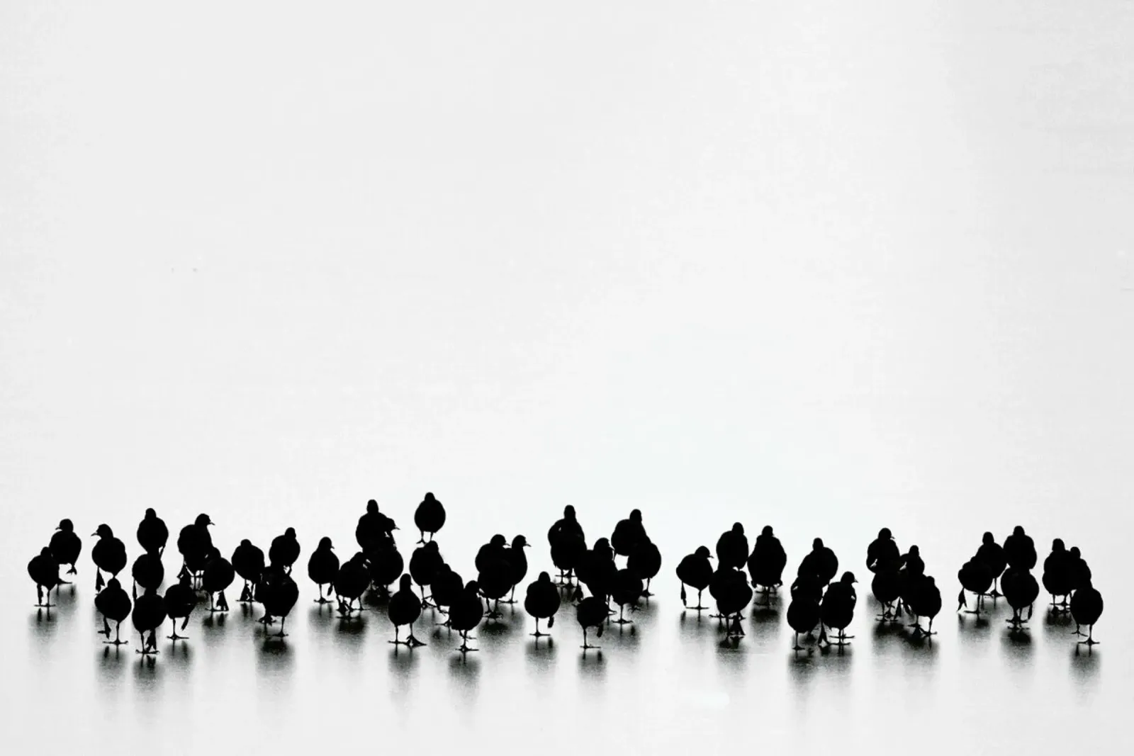 Untitled - Yordan Vasilev poster con telaio in alluminio da Pictufy