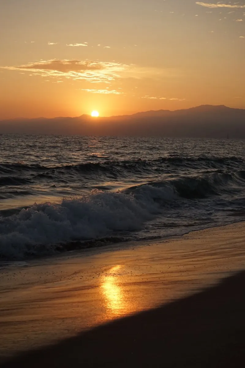 The Golden State pellicola backlit da Mandy Becker Photography