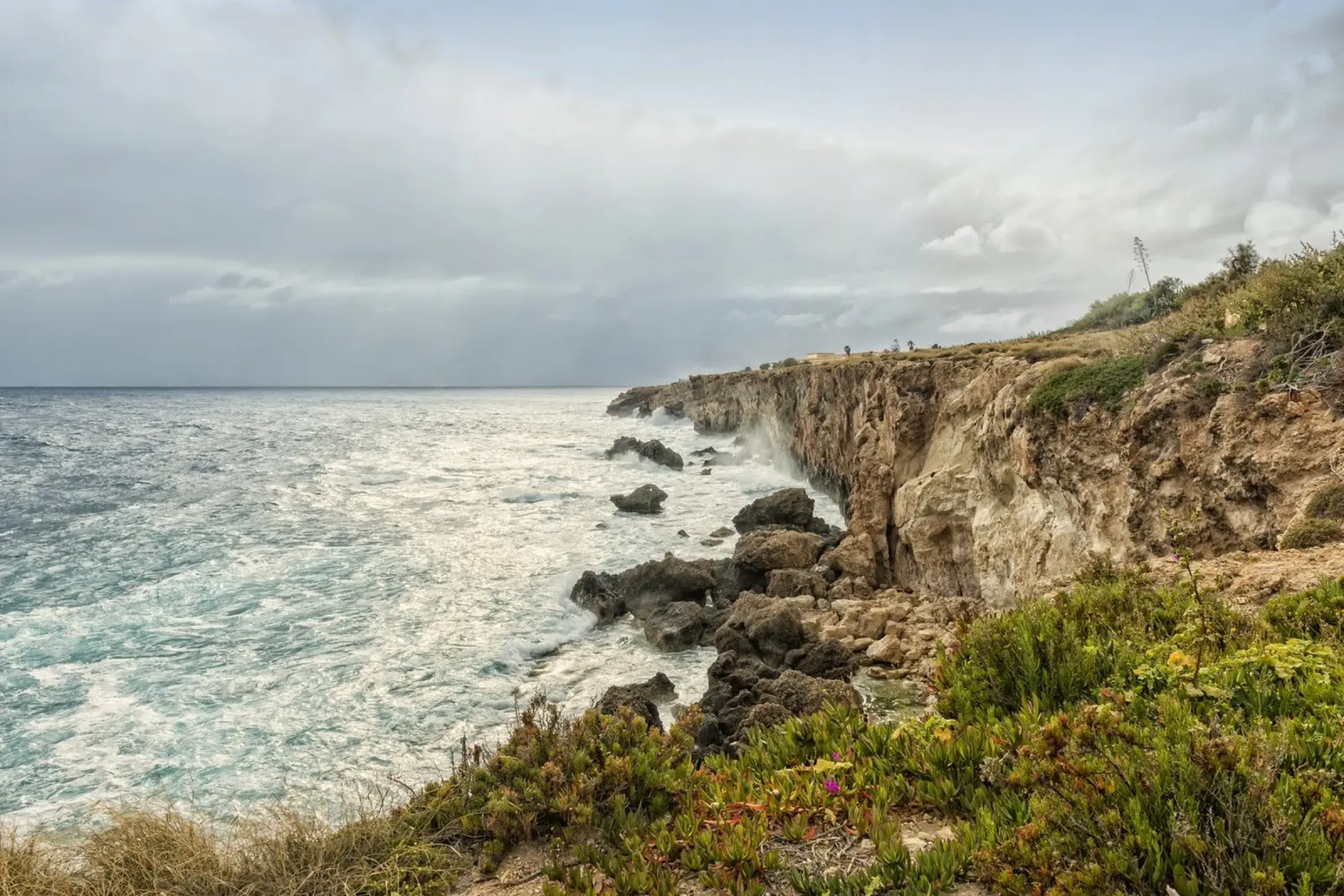 Costa di Malta pellicola backlit da Curious Collections by Marielle Leenders