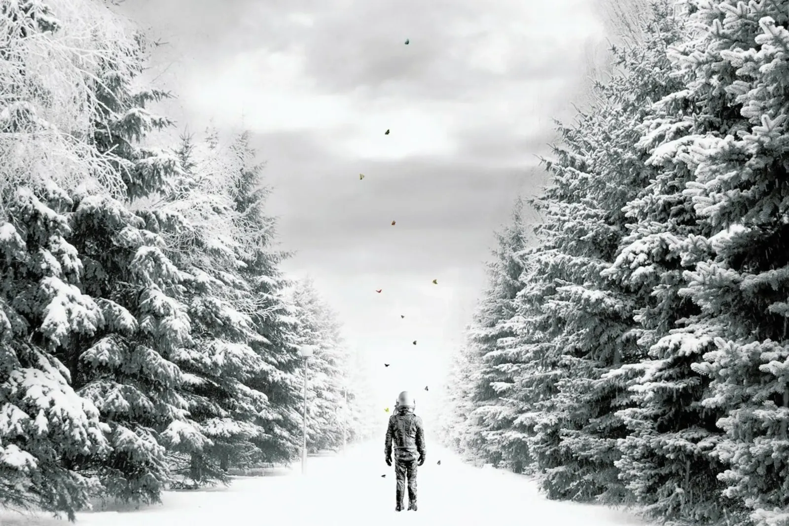 The Path hahnemühle de Jason Brueck