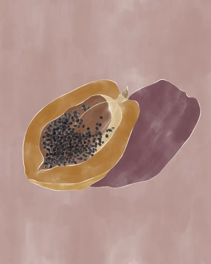 Papaya carta hahnemühle da Ivy Green Illustrations
