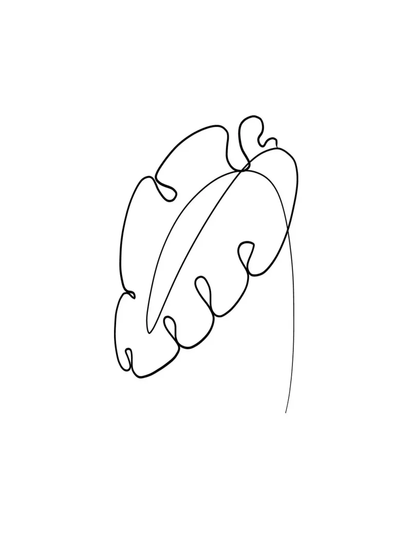 Foglia minimalista - Line Art Design pellicola backlit da Whole©
