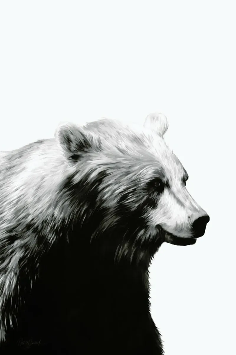 Calm Black and White pellicola backlit da Amy Hamilton